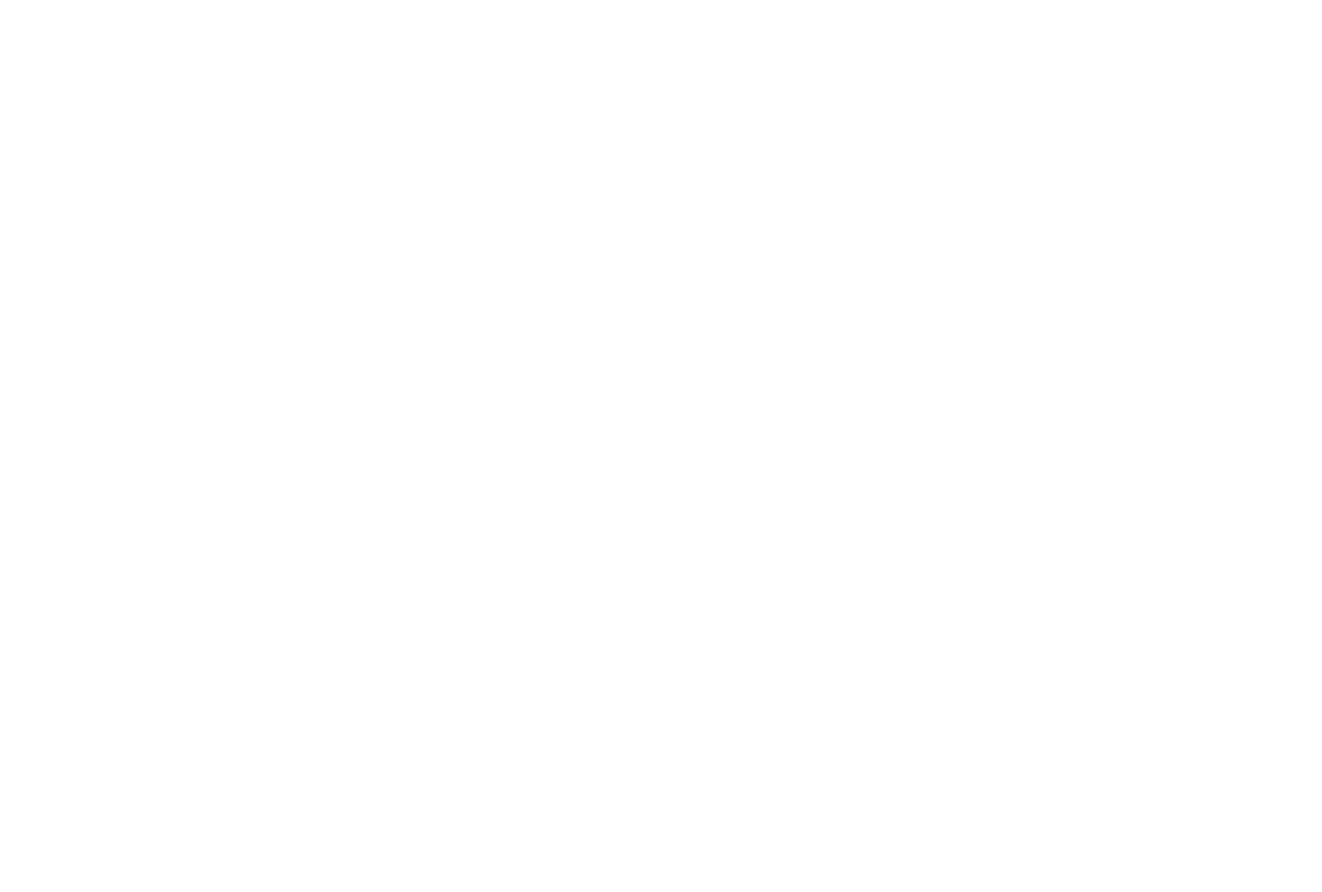 TECHNIIX LOGO